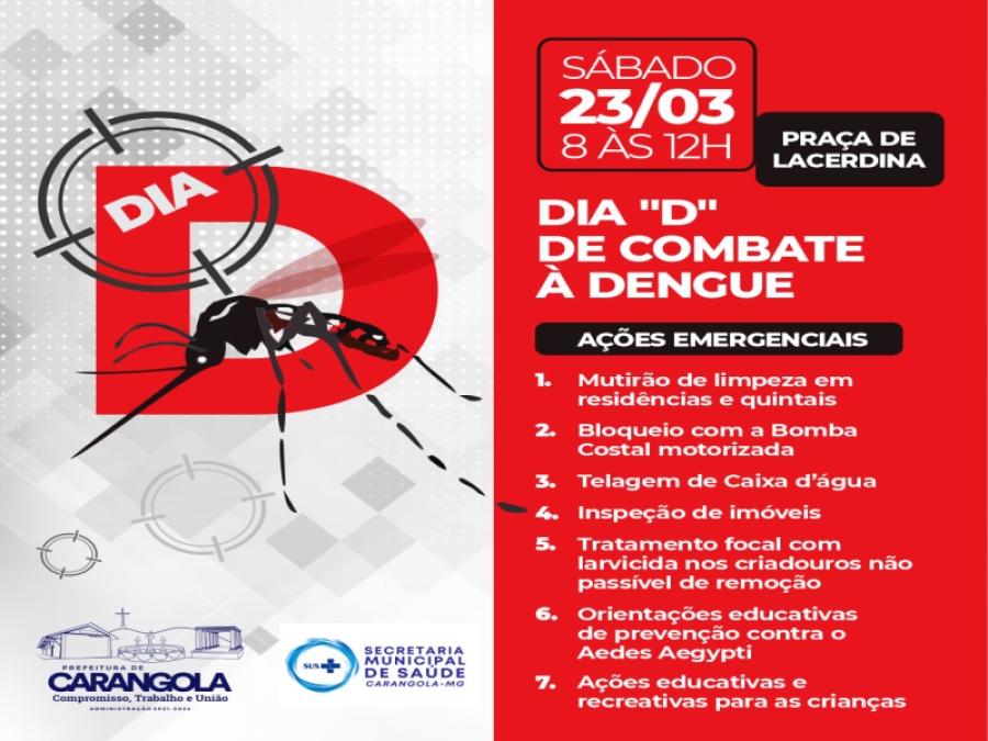 Dia D de combate a Dengue