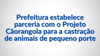 Prefeitura estabele parceria com o Projeto Caorangola para a castração de animais de pequeno porte