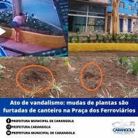 ATO DE VANDALISMO: MUDAS DE PLANTAS SÃO FURTADAS DE CANTEIRO NA PRAÇA DOS FERROVIÁRIOS